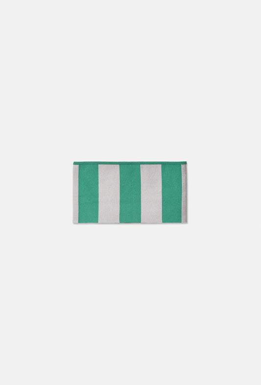 Knit Striped Bandeau Top in Green and Silver