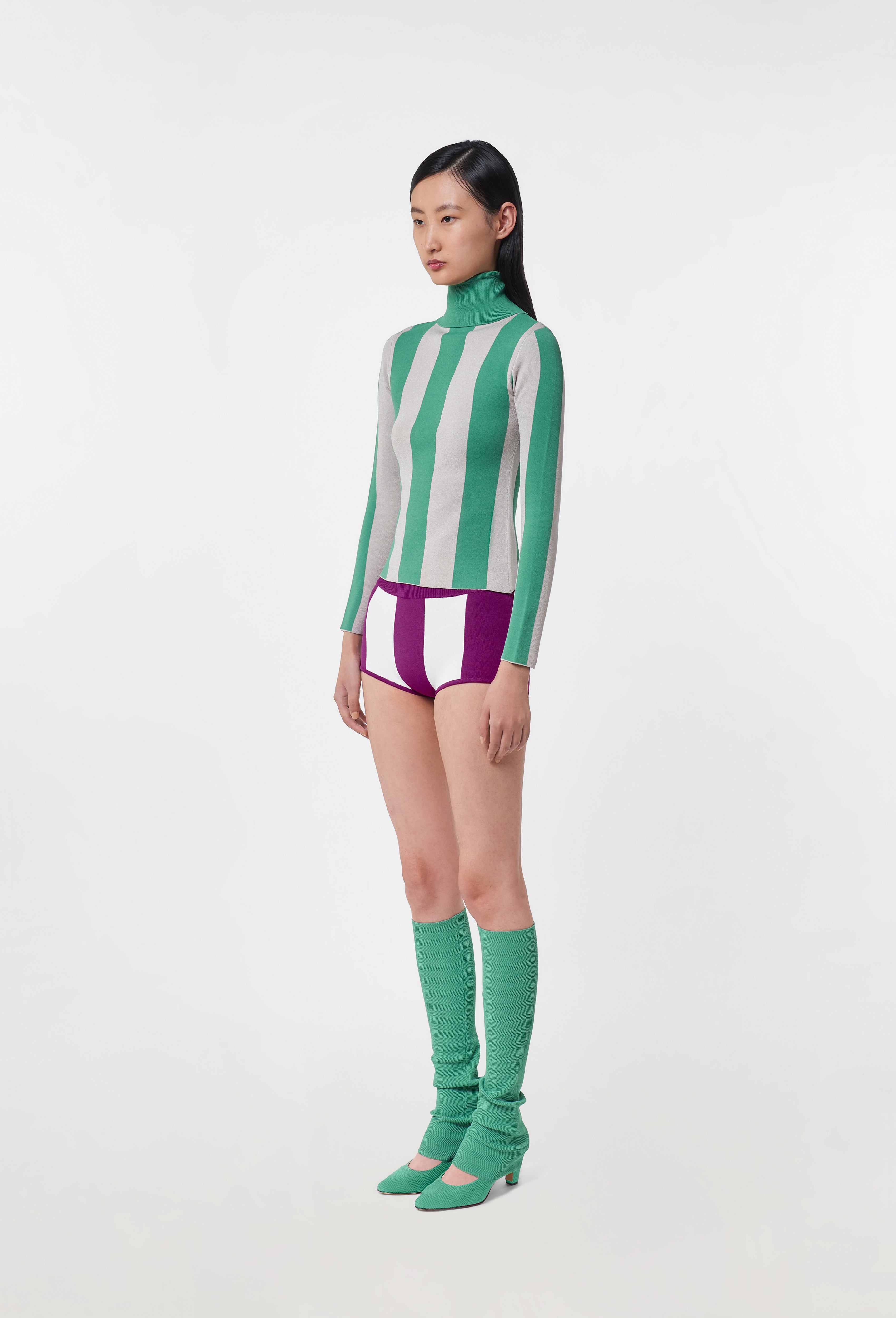 Knit Striped Turtleneck Top in Green and Silver