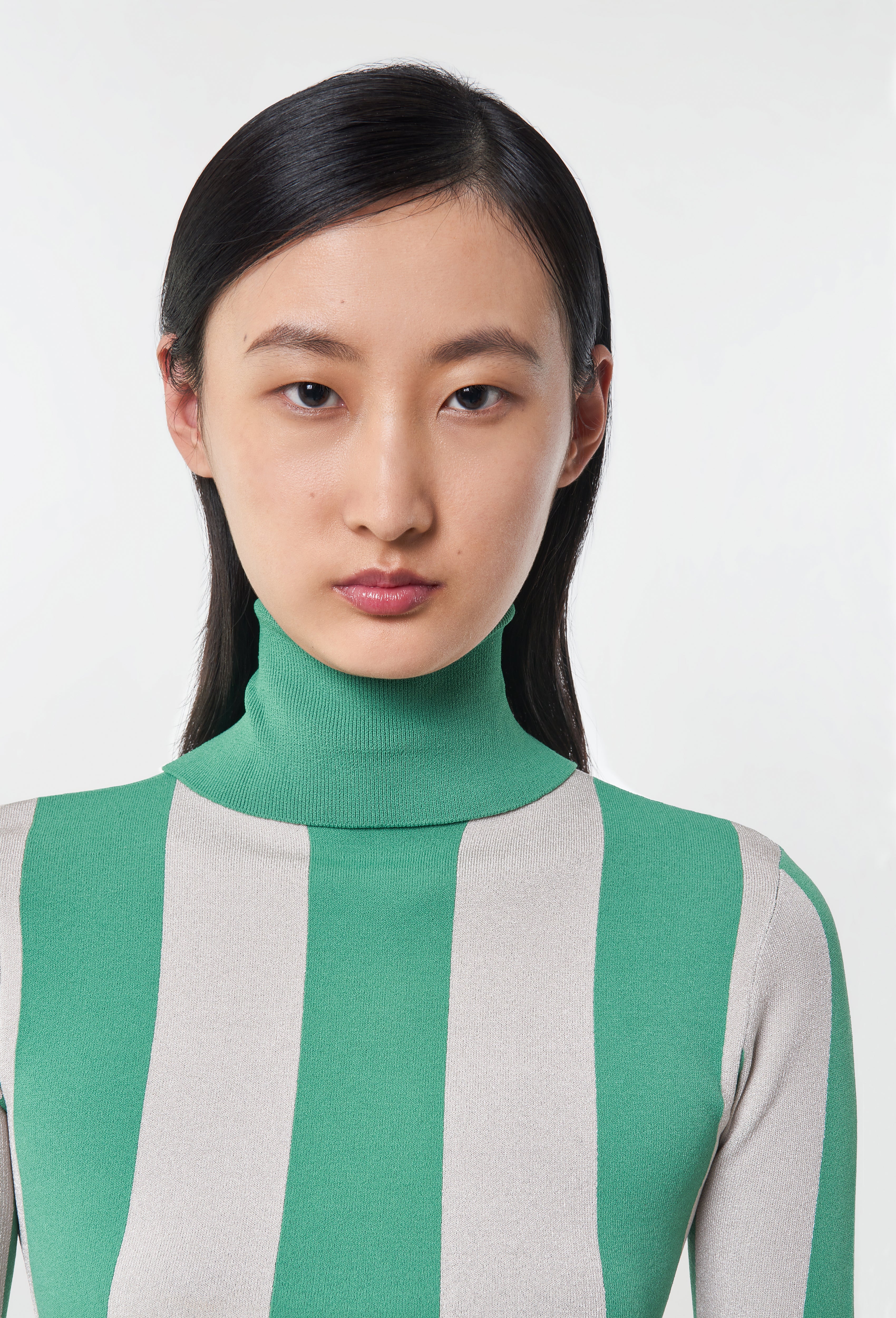 Knit Striped Turtleneck Top in Green and Silver