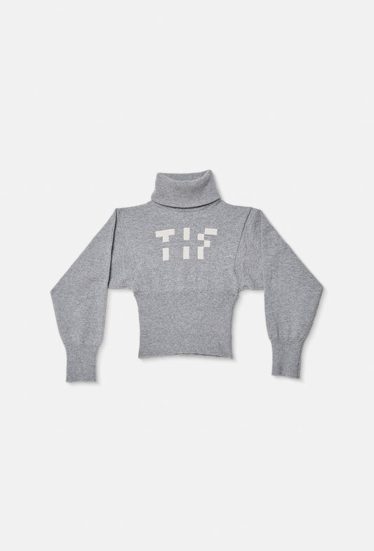 Knit TIF Turtleneck Top in Grey